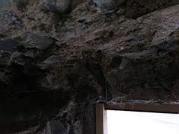 acastle 166120.jpg